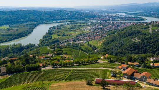 Excursion à la découverte des vins de la Vallée du Rhône - Photo 4