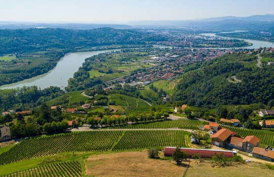 Rhone Valley Wine Tour - Photo 4