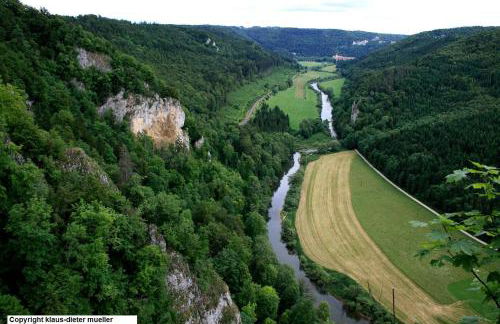 Haus am Waldrand - Foto 32