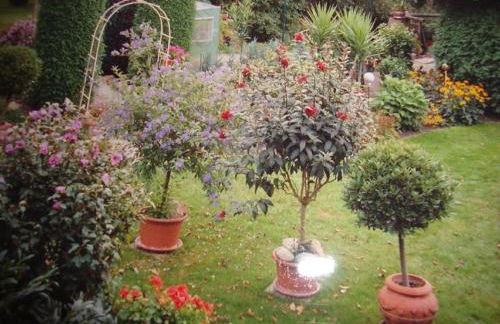 Landhaus Strangmüller - Foto 3