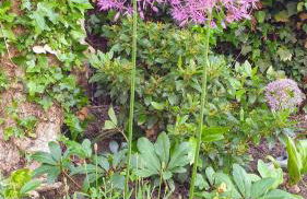 The Old Bank Beautiful Cotswold House with Huge Garden - Photo 37