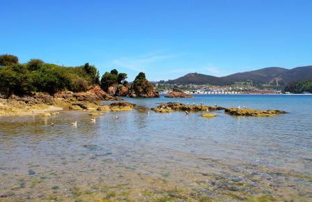 Apartamentos Duerming Sea View Viveiro - Foto 35