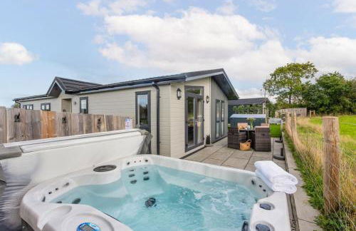 Daisy Lodge, 6 Roadford Lake Lodges - Foto 3