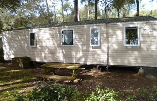 HOME-COSY - 6 pers - 40 m2 3 CH - 2 SDB et 2 WC - Foto 21