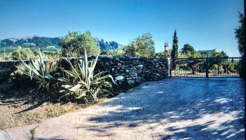 Carpe Diem - Photo 3