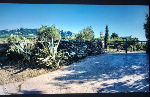 Carpe Diem - Photo 3