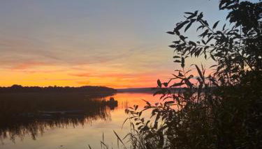 Domek w Borach Tucholskich - Wycinki - Foto 4