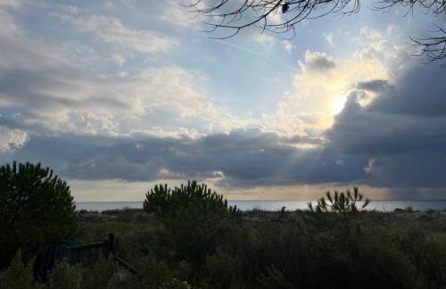 MAISONS BORD DE MER- MARINE DE SORBO - Gîtes 3 épis - Foto 12