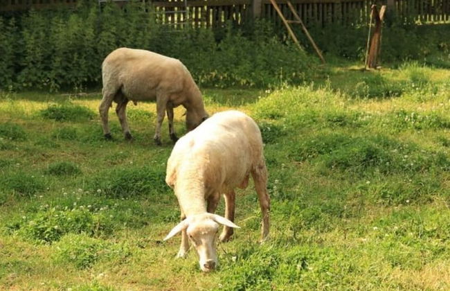 Nice Apartment in Himmelkron - Foto 17