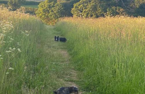 Riding Farm Cottages - Foto 75