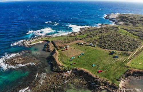 Villa Grande Arche Istria - Photo 13