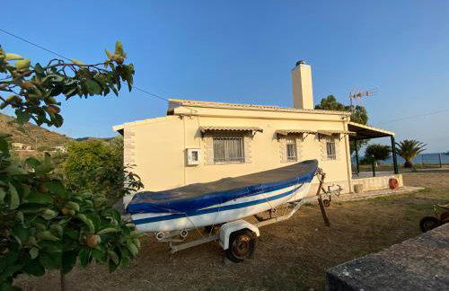 O κήπος της Εδέμ / Garden of Eden - Foto 13