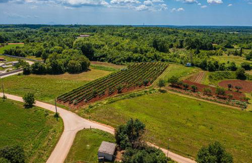 House Grandići 1852 - Foto 12