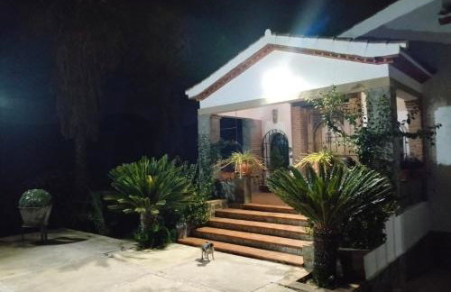 La chumbera - Foto 38