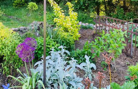 Irenes Tinyhouse - Foto 39