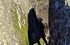 Casa do Apeadeiro - Foto 38