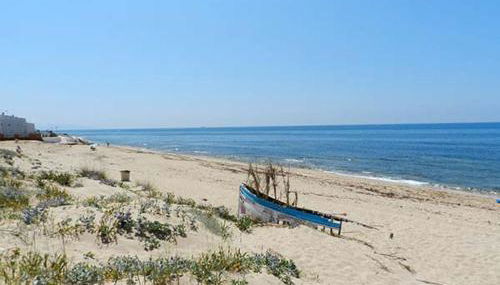 DADA CAÑOS - Foto 2