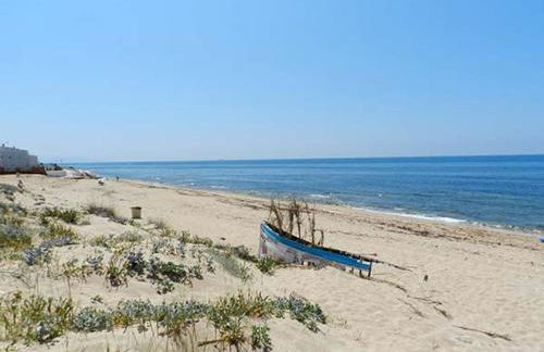 DADA CAÑOS - Foto 2