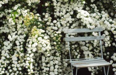 Agriturismo Timignano - Foto 56