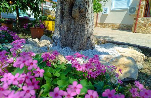 Grandmas Cottage - Photo 41