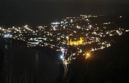 Gästehaus Steuer - Foto 55