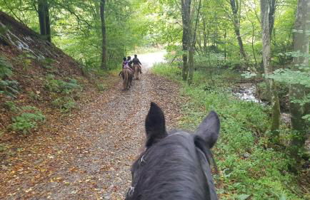 Sonnenschein am Rursee - Foto 38