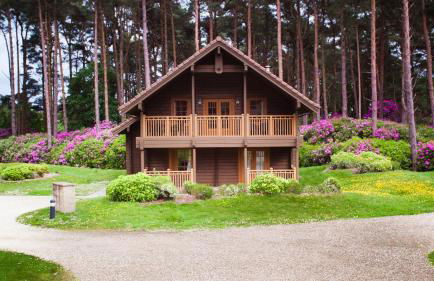 The Dorset Resort - Photo 158