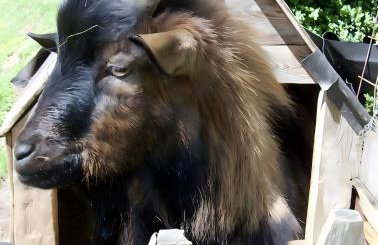 Christianshof - Photo 26