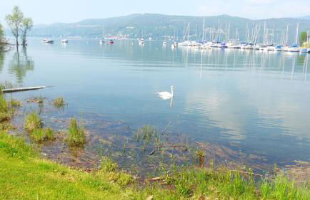 The Gulf Villa - Lago Maggiore - Foto 61