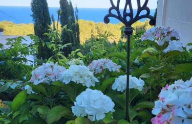 Apartment with garden and sea view Santa Cristina Blanes - Foto 41