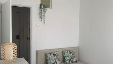 Apt 20 min from downtown train - Photo 2