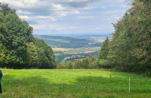 Monteurwohnung - Foto 16