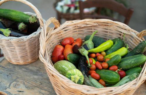 Pelagias Villa - Photo 51