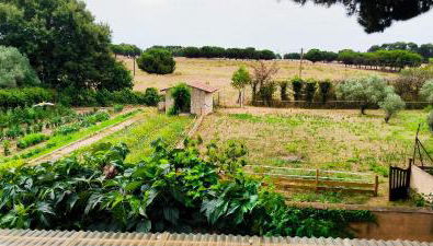 Jolie maison avec spa exterieur - Foto 3, Garden view