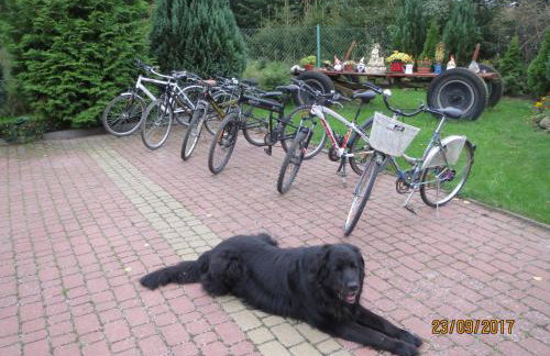 Chata na końcu świata - Foto 79