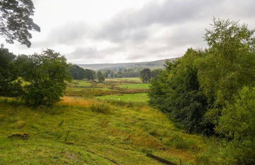 Ridgeway Cottage at Lovelady Shield - Foto 53