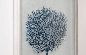 3000sqft House 8beds 3bath Pool jacuzzi Bbqj - Foto 4