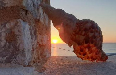 Amazing View - Foto 35