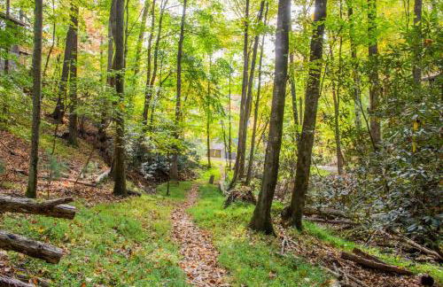 Penny Creek Cabin - Powder Horn Mountain - Foto 5