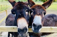 Luxury 2 bed home - Foto 25