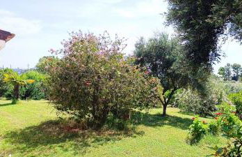 Sa Teria Village - Appartamenti - - Foto 31