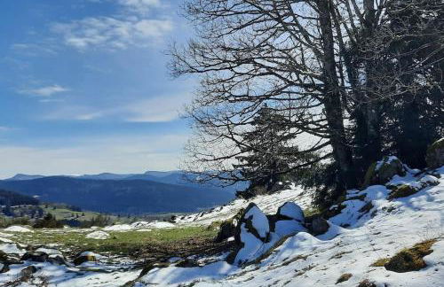 plain-pied proche base de loisirs et voie verte - Foto 28