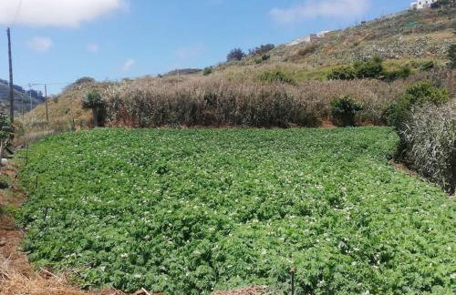 Casa cueva El Balcón del Cortijo - Foto 26