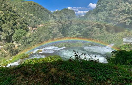 La casa del timo - The house of thyme - Foto 3