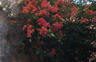 Studio Liège, vue mer au village de Bormes les Mimosas - Foto 10