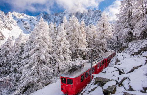 Le Cristal - Central apartment close to the slopes & Free Parking - By Cozee Rentals - Foto 17