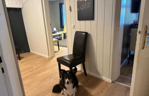 Veranda 17 - Einfach genießen - Foto 11