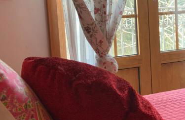 Quinta das Ameixas - Country & Nature - Foto 57