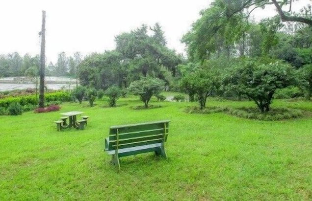 Ama Plantation Trails , Chikmagalur - Foto 8