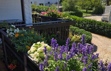 Sobe Randelj - Foto 18